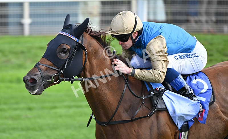 220826-013 Archivist - Race 1 13.50pm Sky Bet Strensall Stakes