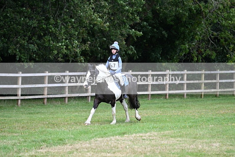 WJ7_8962 - 60cm Time 12:31 to 12:50