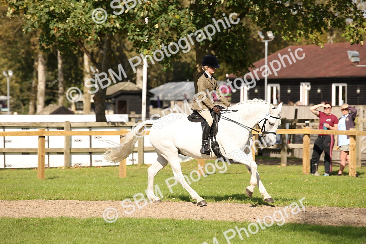SBM_50056 - S26 - Young Veteran - Ridden