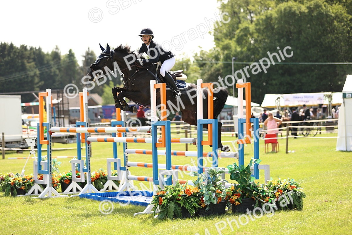 SBM_03062 - Class 201 - British Horse Feedds Speedi Beet HOYS Grade C