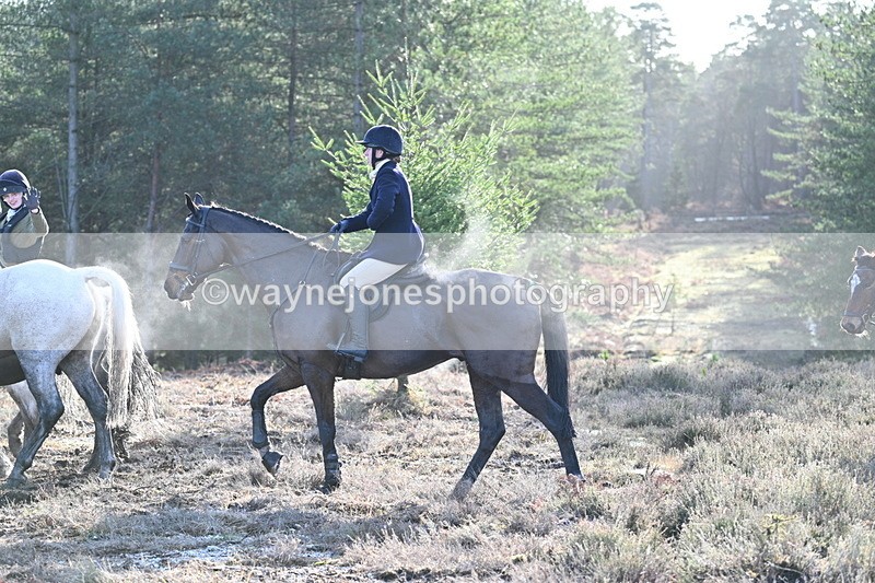 WJ7_7235 - Line 3 (no line 4 or 5)