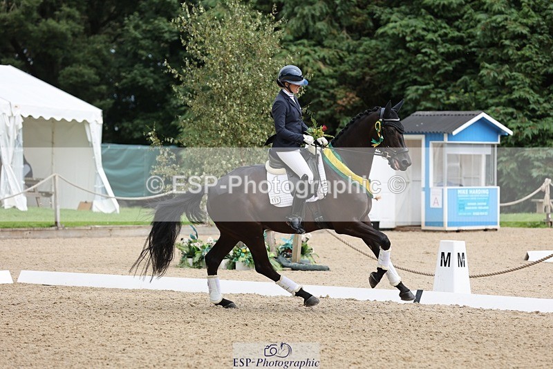 240810-132120-03316 - Medium Gold