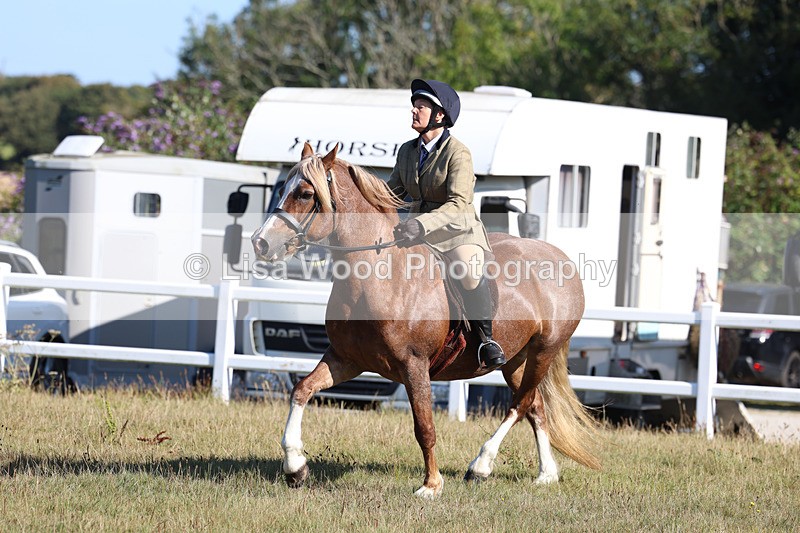 3E7A5430 - Class 3: Working Hunter 70cm