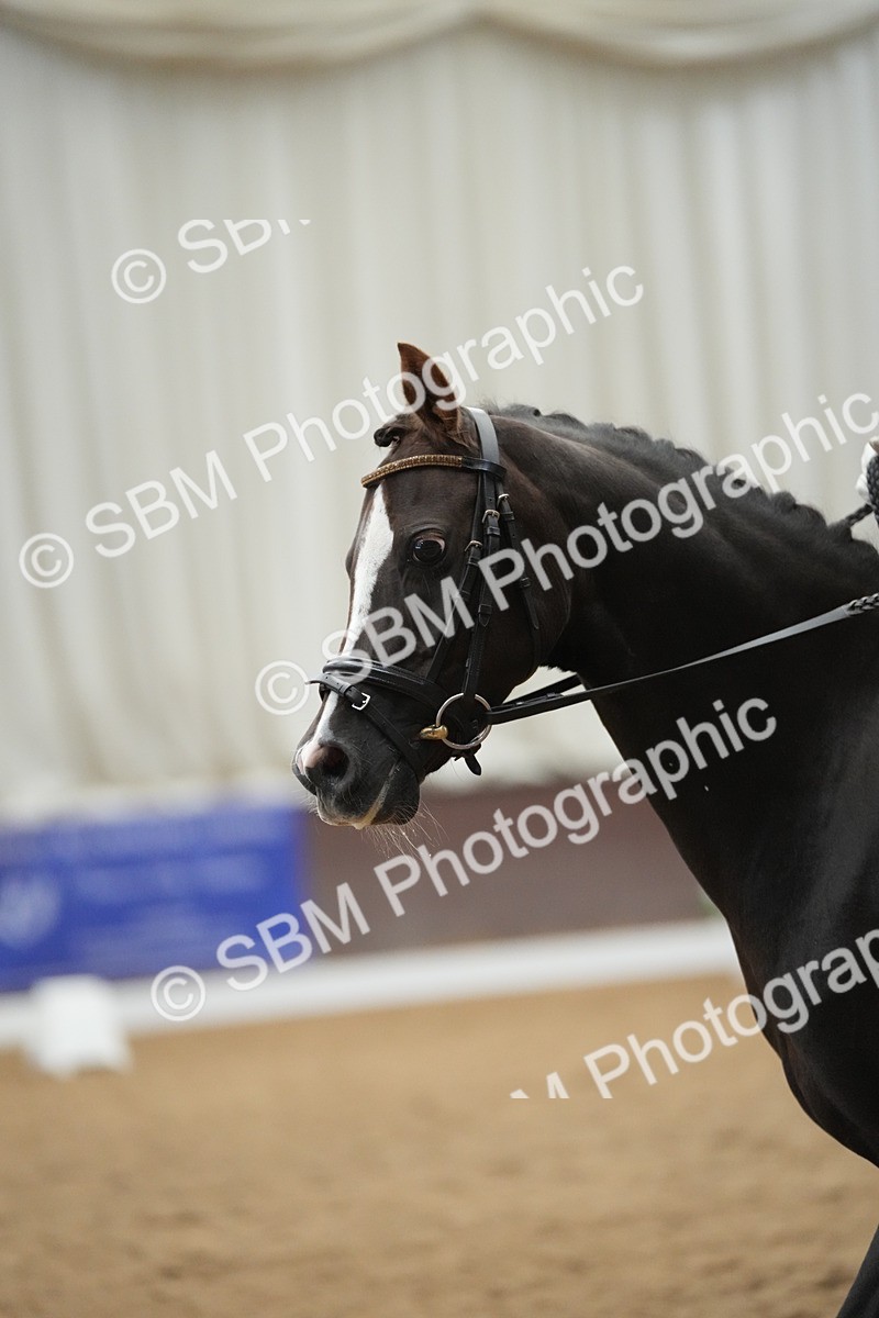 SBM_002490 - Class 14 - FSM Champs