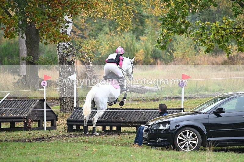 WJ6_2686 - 80cm Cam 1 Time 11:23 to 12:04