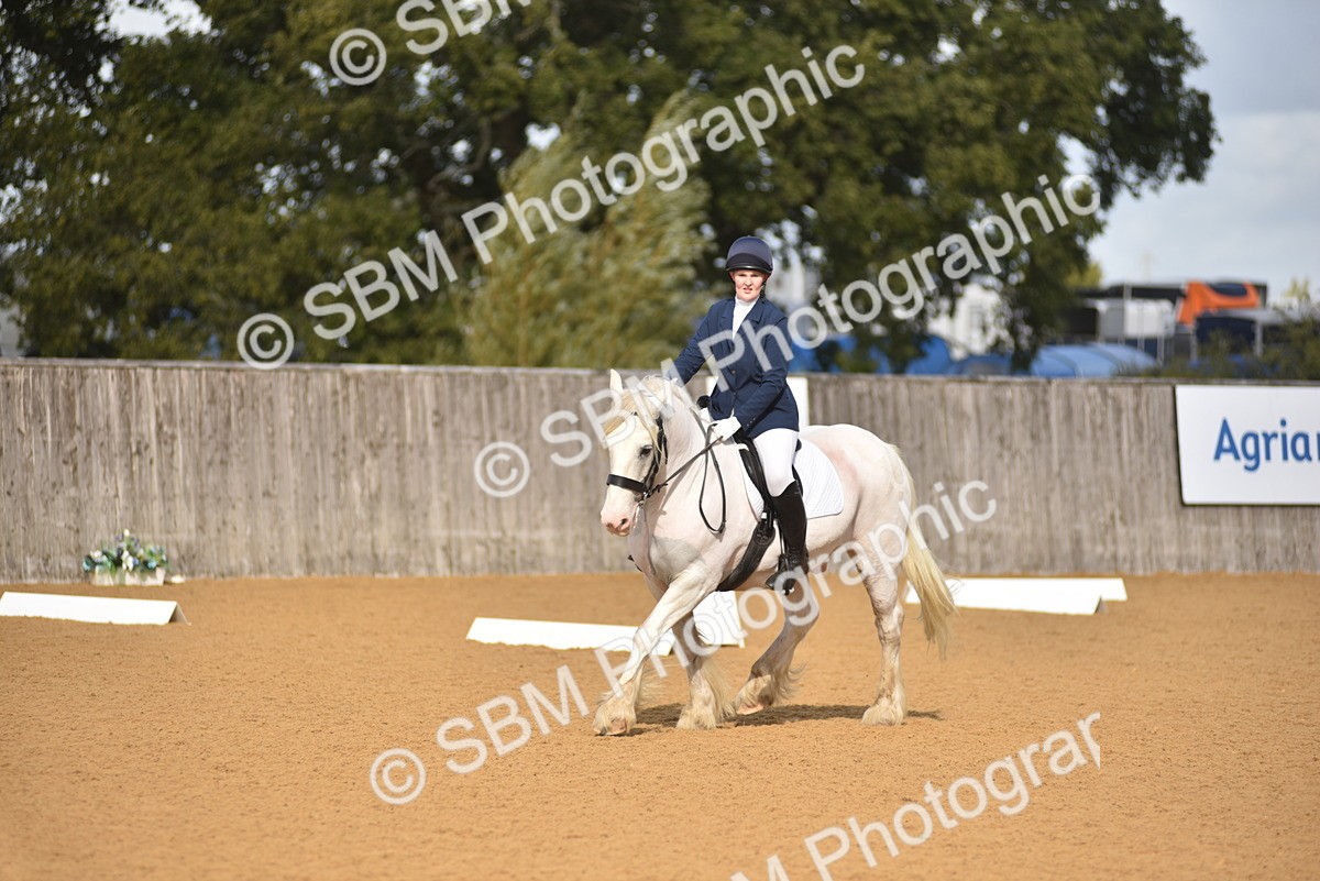 SBM_02955 - D4 - Small Tour Championship Intro 4