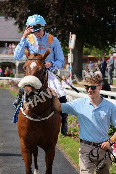 yr08072022r3-32 - Race 3 3.15pm William Hill Play Responsibly Irish EBF Novice Fillies Stakes