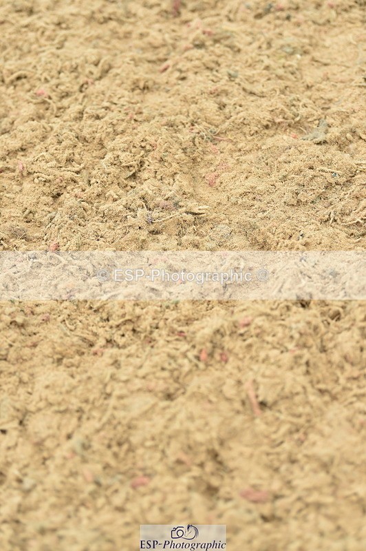 230720A-140026-03271 - Cls 21, 1 Star Gold 1.30m