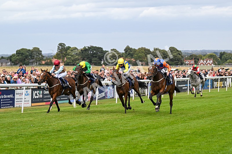 250824-Race 3-Blueandtangerine-3231