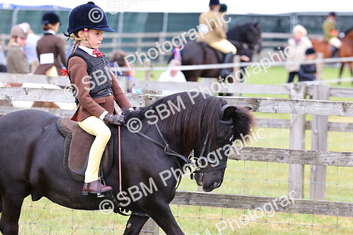 SBM_08426 - Class 42-43 - LIHS BSPS Heritage Working Sports Pony