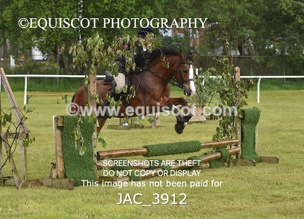 JAC_3912 - 55cm WORKING HUNTER