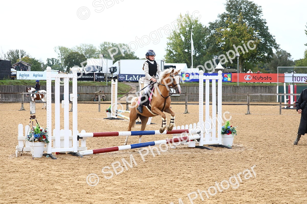 SBM_60018 - J63 - Junior Pony 50cm Championship