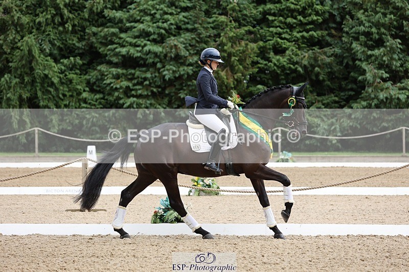 240810-132057-03301 - Medium Gold