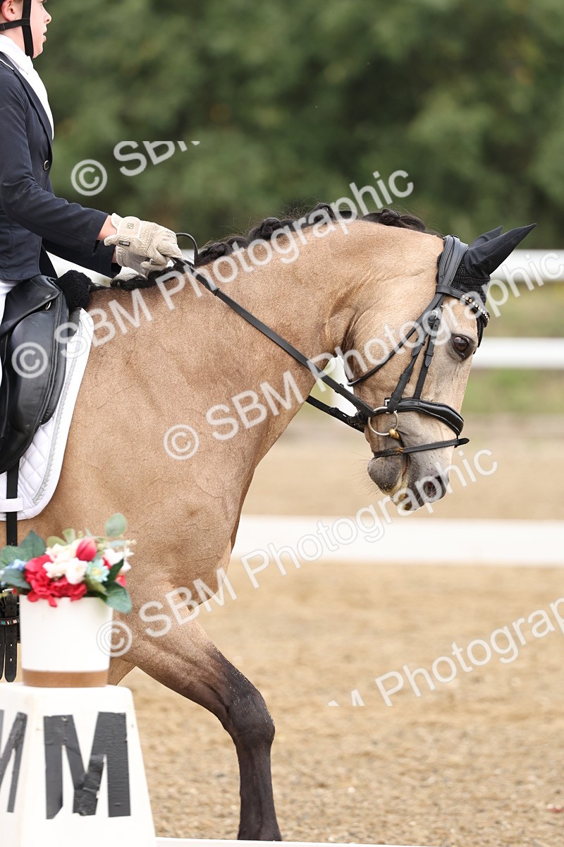 SBM_005794 - Class 6 - Novice 6 - 10.26-11.29