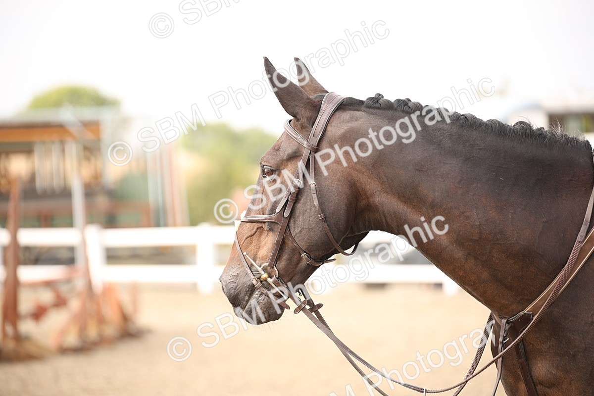 SBM_17160 - Class 409b - Working Veteran 80cm (20+)