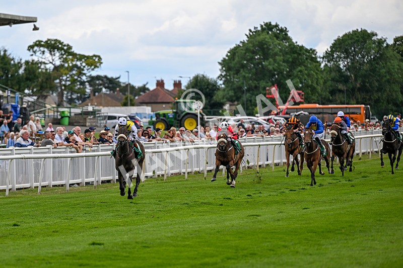 010726-Race 2-Arapaho Gold-7738 - Race 2 13.38pm British EBF Restricted Novice Stakes (Div II)