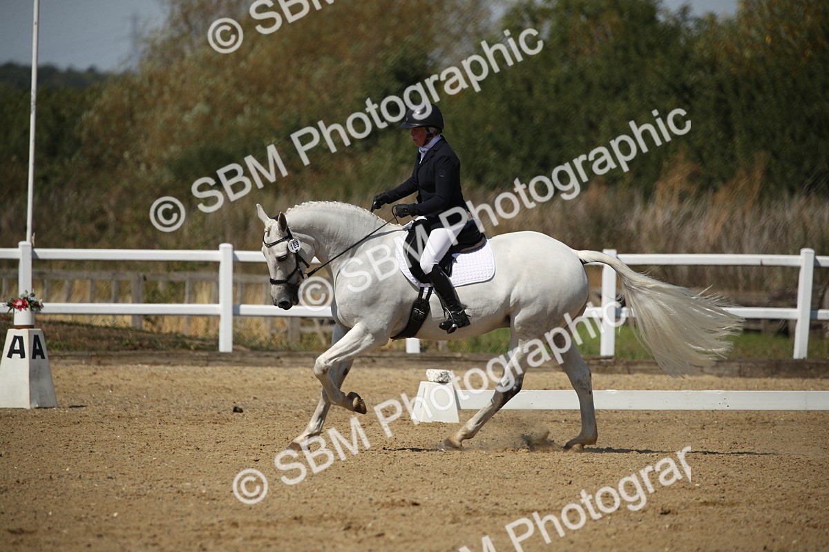 SBM_005041 - Class 11 - Novice 5 - 11.41-12.58