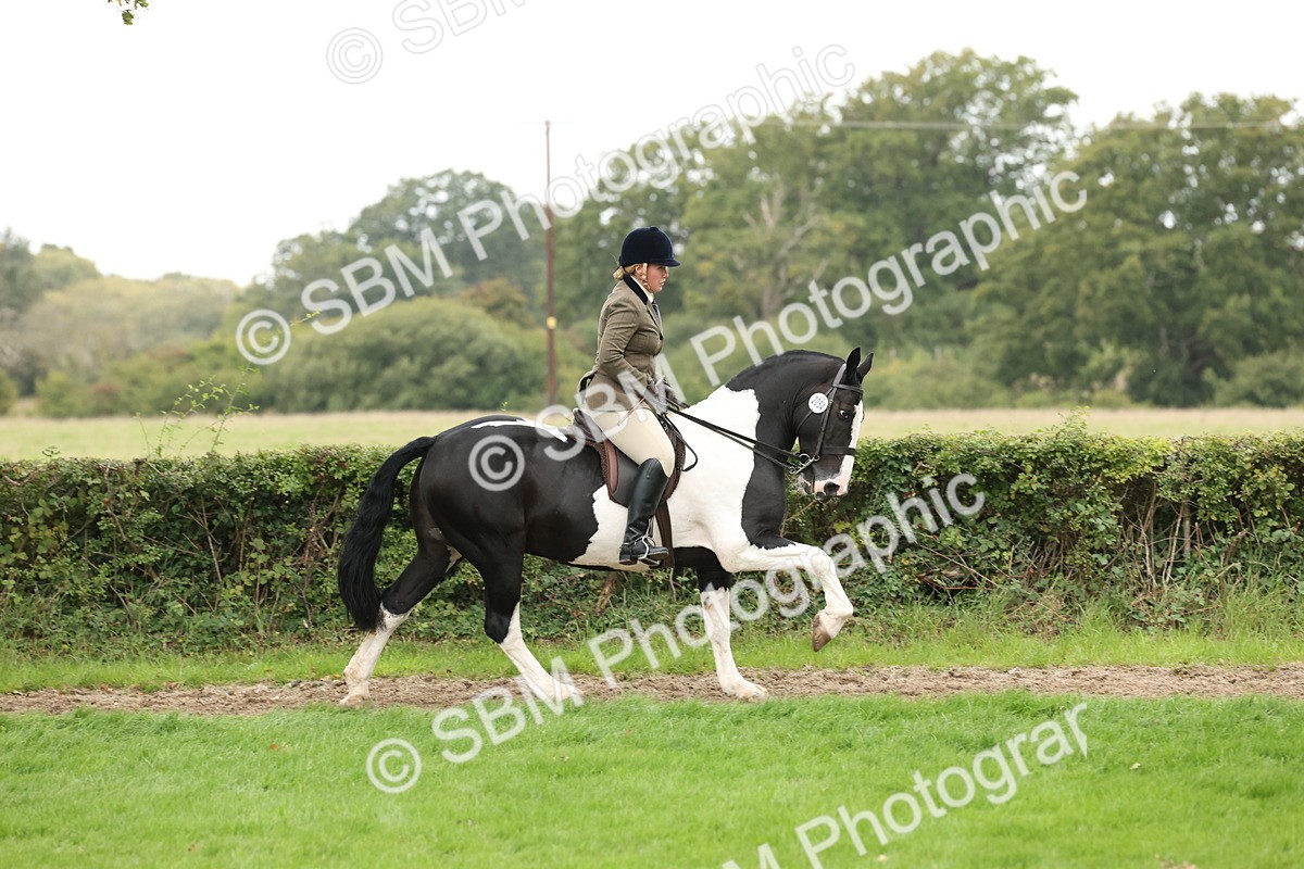 SBM_67330 - S67 - Piebald & Skewbald Horse Ridden