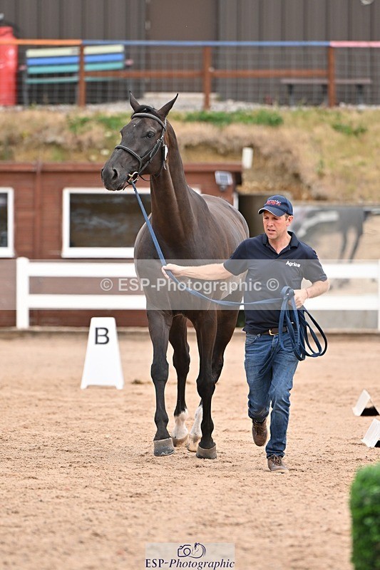 250716-152551-01936 - Trot Up 2.30 to 3.30