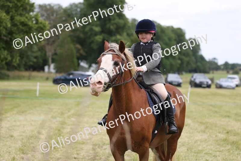20260614-3105 - Class 22 - Open Working Hunter