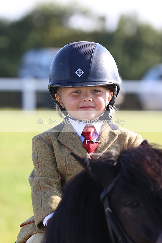 JPP_0802 - Class 16: Cornish Combination Leading Rein