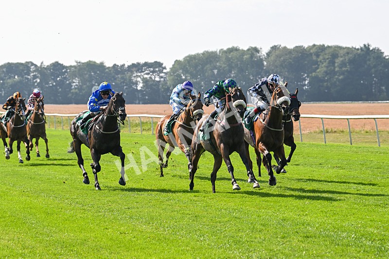 300824-Race 4-Tinto-5972 - Race 4