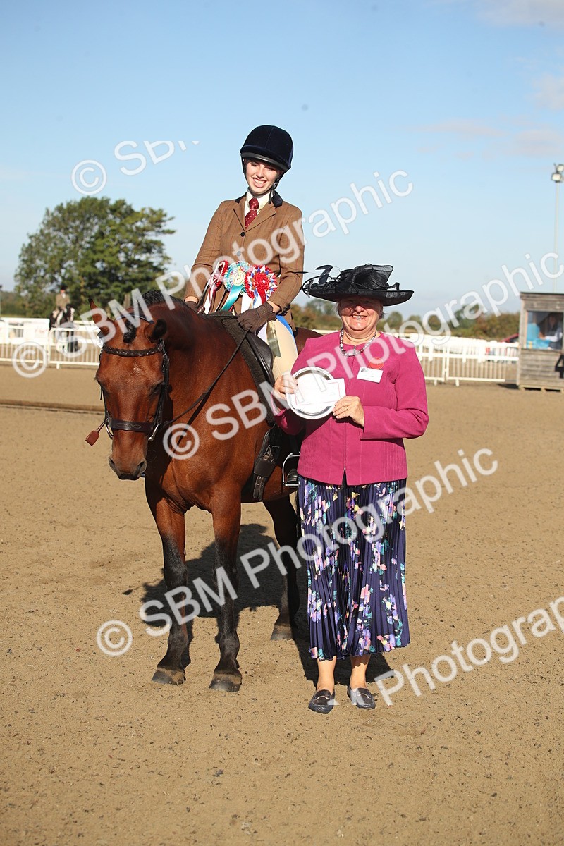 SBM_11580 - Class 502 - Riding Club Horse