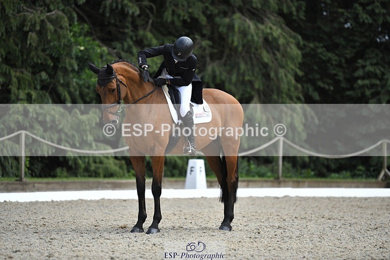 230525-153439-03275 - 327-ROMANTIC-Rosie_Fry-WEDTrotUp+DR