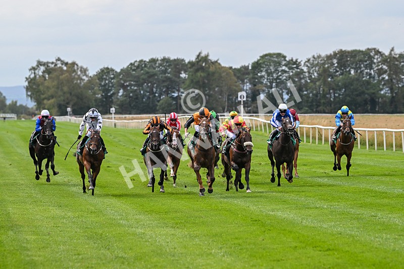 060925-Race 2-Dazzling Haze-4641 - Race 2