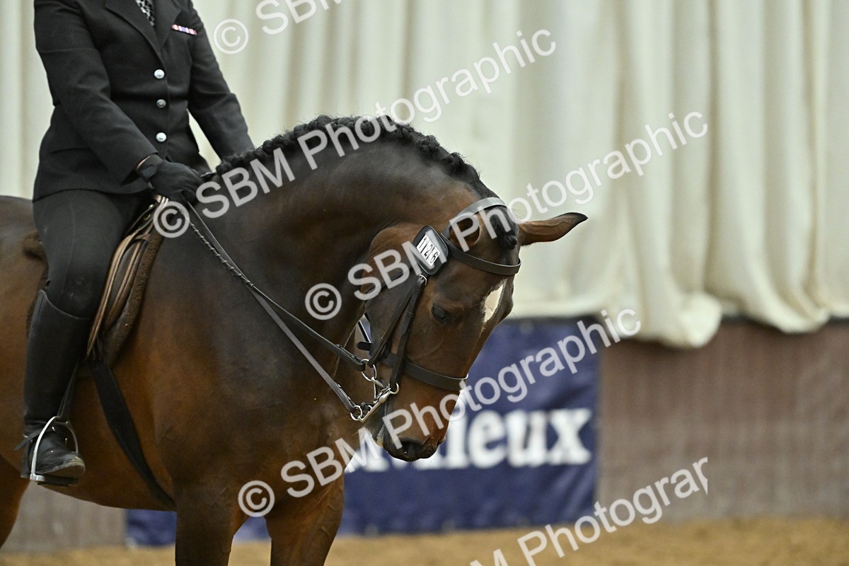 SBM_002064 - Class 23 - BSHA Ridden Show Hunter
