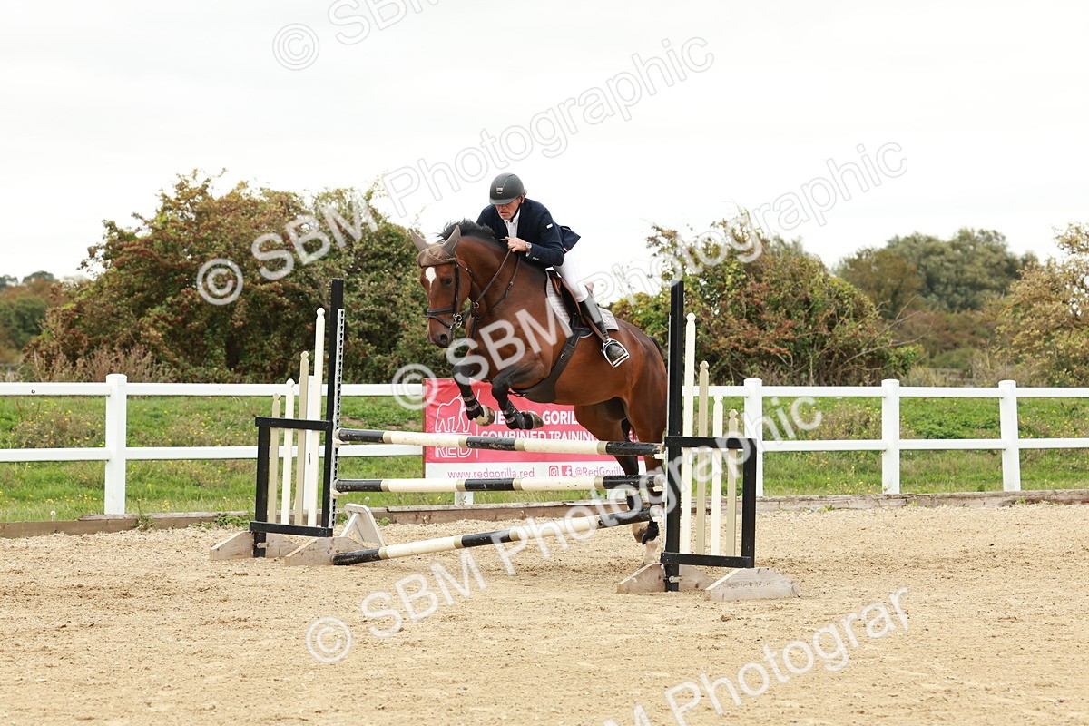 1I0A7116 - Class 2 - Senior British Novice