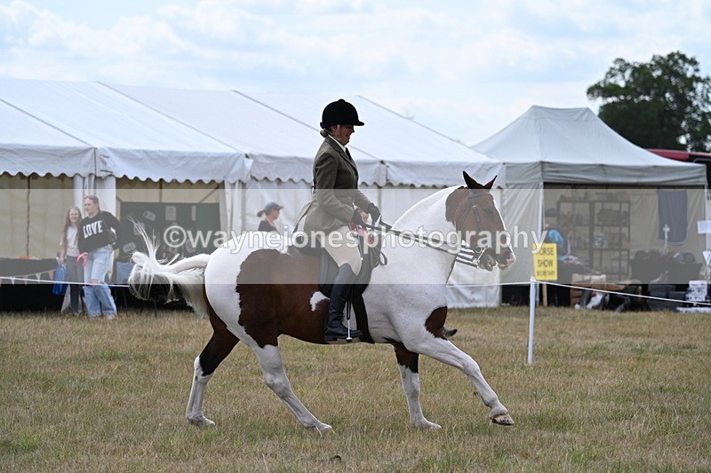 WJ7_5644 - Class 12 Ridden Cob