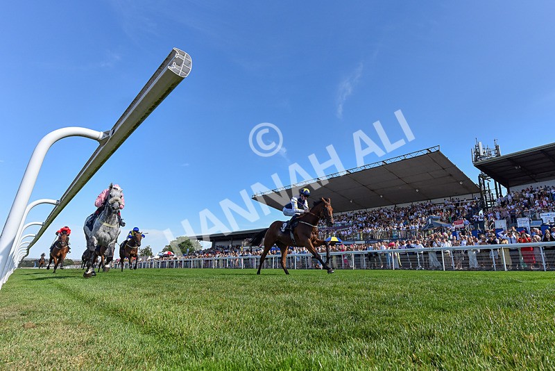 120826-Race 5-Ciao Capo-4974 - Race 5 16.15pm Cayenne Electric At Porsche Centre Hull Handicap