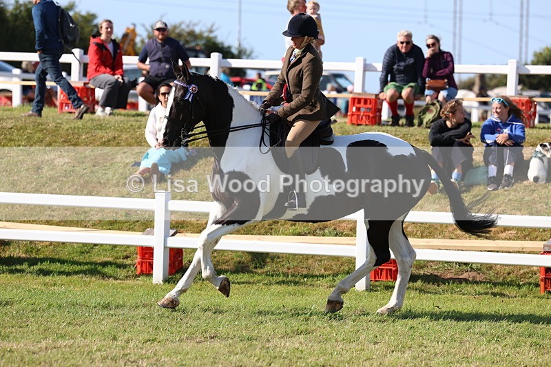 3E7A4089 - Supreme Championship