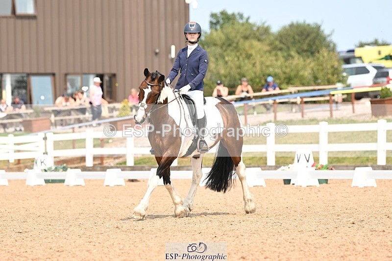 250816-140419-04990 - 050-Mollie.SheathTouch.Wood