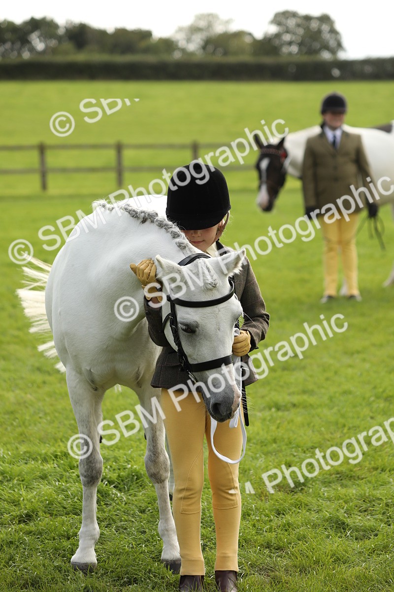 SBM_68704 - S40 - Junior Handler 9-12 Years
