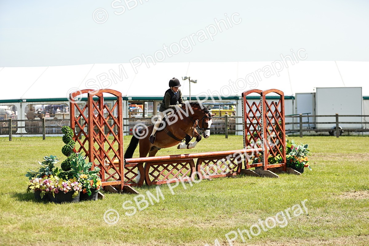 SBM_13560 - Class 108-109 - BSPS LIHS Open Gradle & Nursery Stakes
