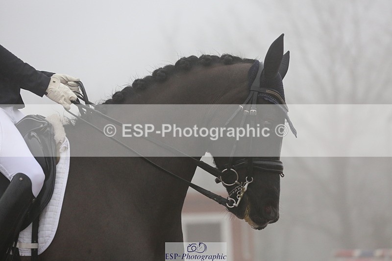 240217A-154158-04266 - 141-georgina.day-Waverley.Night.Music