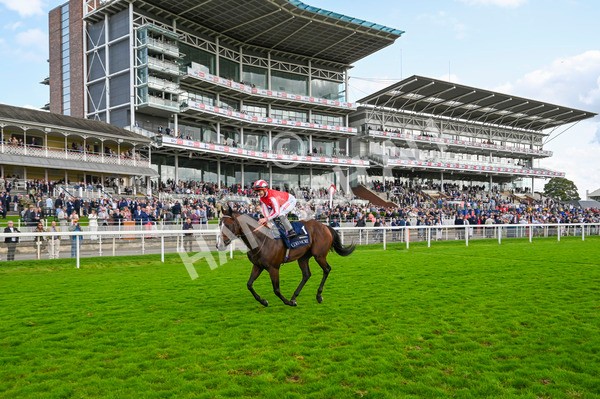 230824-Race 4-Bradsell-9050 - Race 4 3.35pm Coolmore Wootton Bassett Nunthorpe Stakes