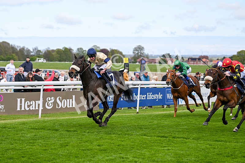 240425-Race 1-Tropical Dreamer-0911 - Race 1