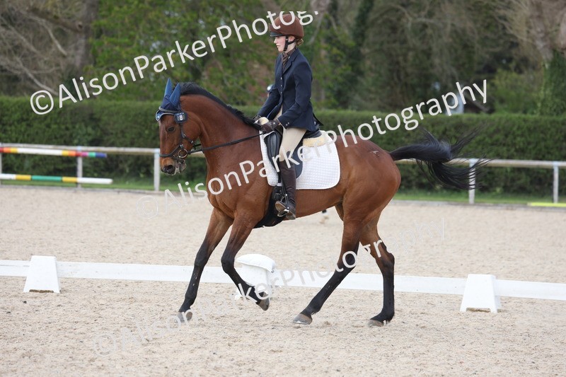 20260404-0918 - Class 5 - Novice 2