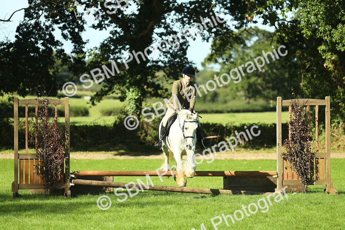SBM_37385 - S29 - Novice & Newcomers Working Hunter Pony
