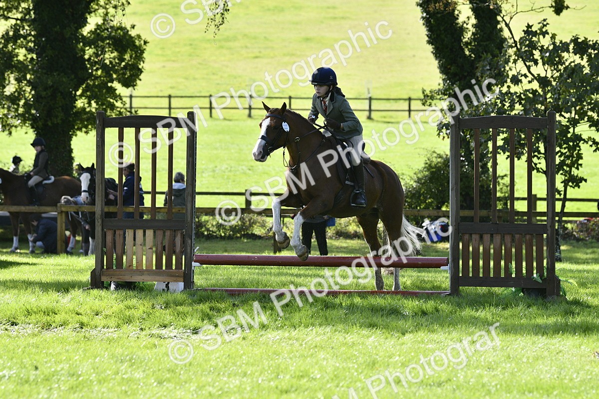 SBM_38207 - S31 - Novice & Newcomer Working Hunter Pony