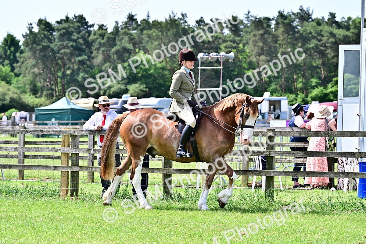 SBM_03703 - Class 58 - TSR  Ridden Veteran Amateur of the year