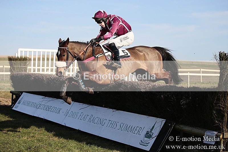 PtP 240218 590 - Vine & Craven Hunt Point-to-Point Barbury racecourse 24/02/18