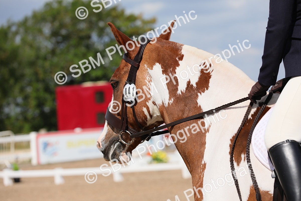 SBM_04142 - Class 31 Prelim 1