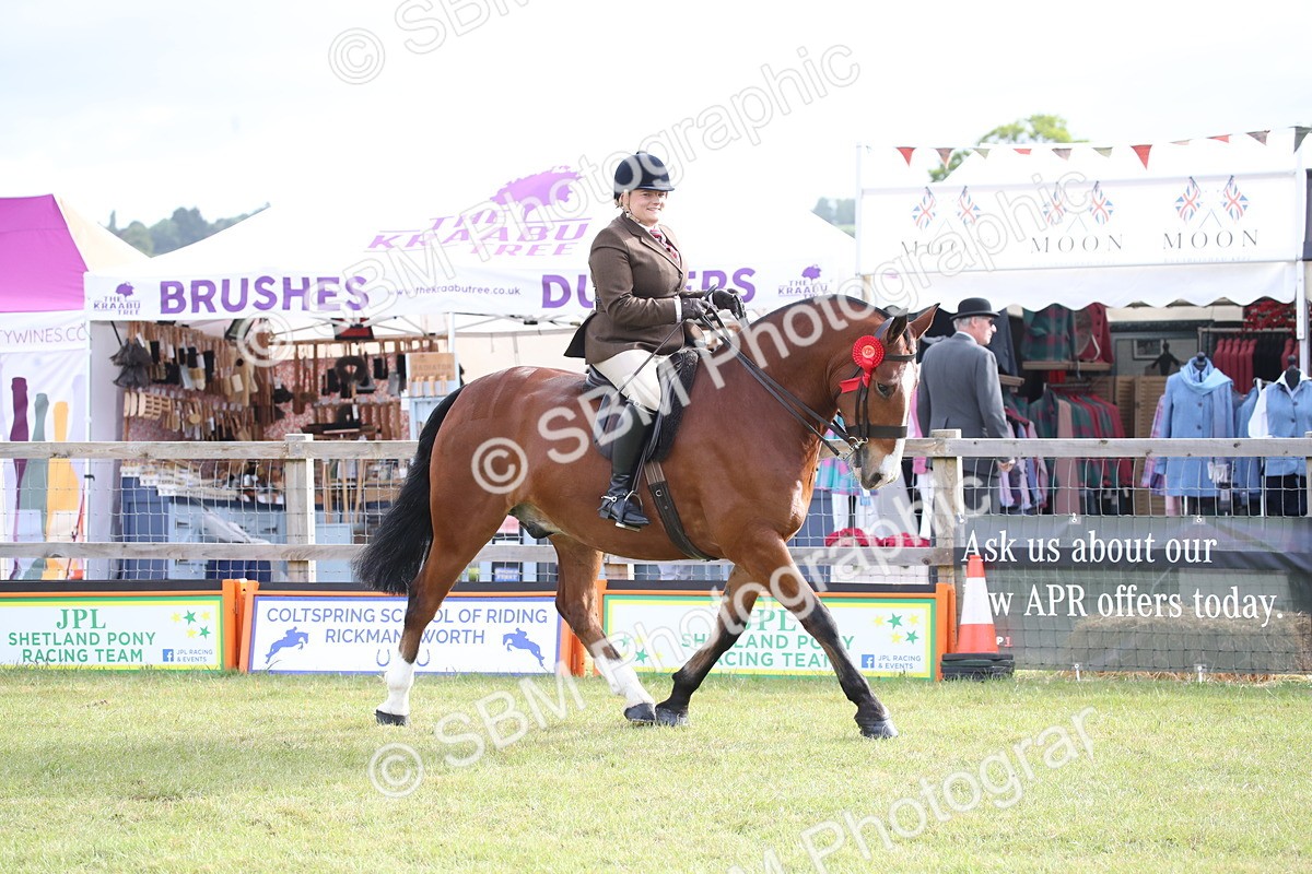 SBM_11168 - Class 92-93 - LIHS BSHA Rising Star Cobs