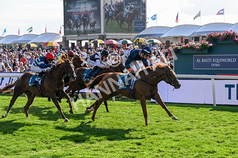 220826-Race 6-Sale Shark-1567 - Race 6 16.45pm Julia Graves Roses Stakes