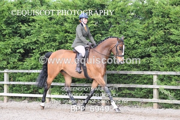BPP_6949 - RING 1  (RIDDEN HORSES / IN HAND / VETERAN ETC)