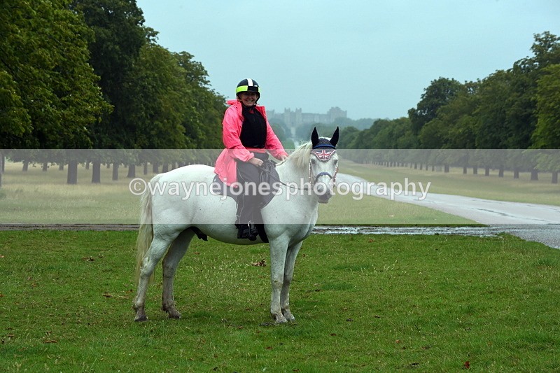 TT3_8047 - Time at Crossing 09:15 to 10:15